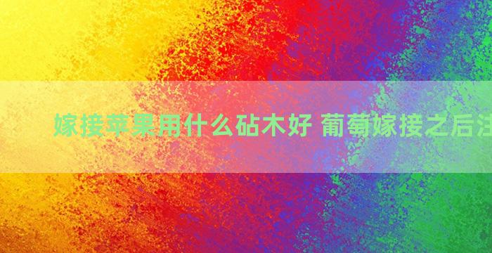 嫁接苹果用什么砧木好 葡萄嫁接之后注意什么